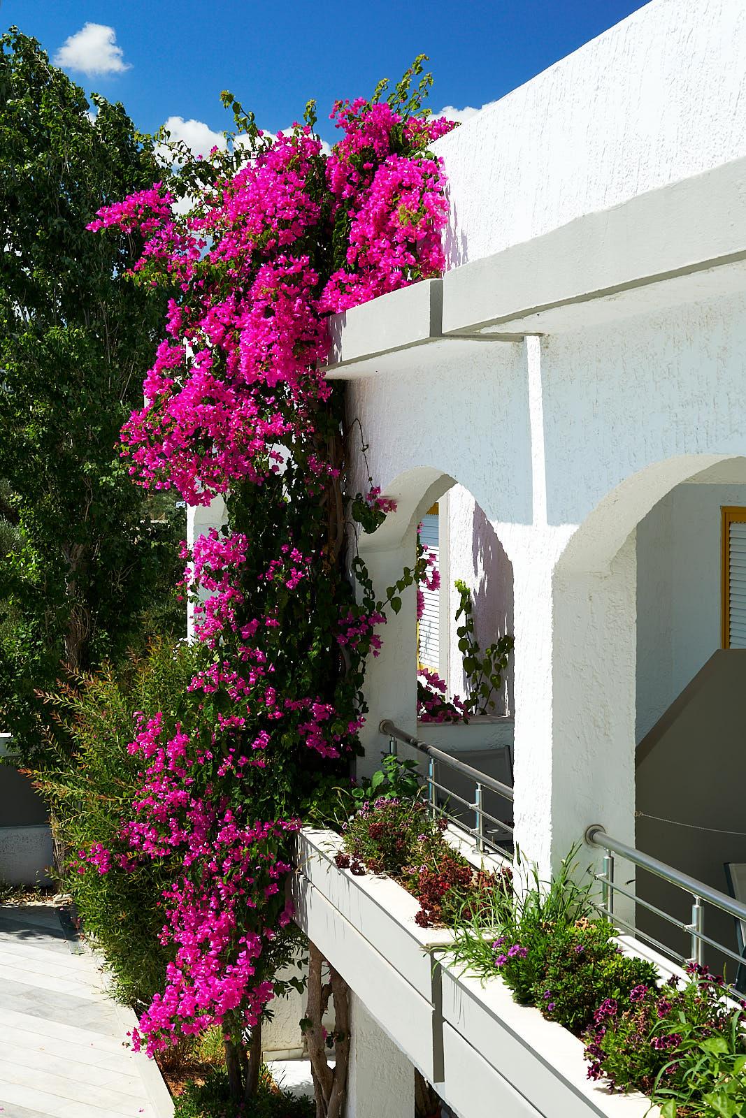 Apollon Hotel Apartments Platanes  Exterior foto